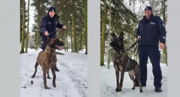 Duet na cztery łapy. Nowi funkcjonariusze w mazowieckim garnizonie