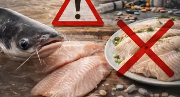 Tych ryb nie kupuj w sklepach. Mogą zawierać toksyczne związki 