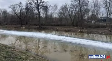 Termin wycinki 63 drzew nad kanałkiem dobiega końca 