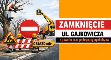 Zamknięcie fragmentu ul. Gajkowicza. Ruszają prace pielęgnacyjne
