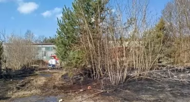 Tragedia w Pionkach. Chciał wypalić śmieci, zginął w płomieniach