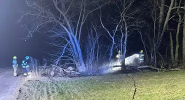 Pożar pralki, rozlana rtęć, pomoc sarnie i mnóstwo pożarów traw – kronika strażacka