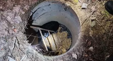 Wpadł do studni i gryzł ze strachu. Poruszająca akcja ratunkowa strażaków z OSP Gzowo