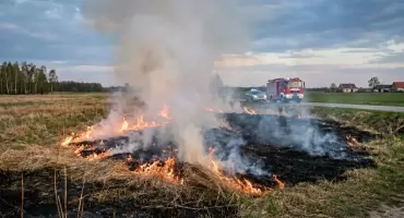 Sezon na wypalanie traw? Interwencje w Gzowie, Brodowie i Chmielewie