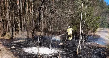 Pożar trawy i lasu w Zatorach