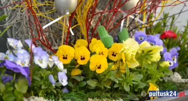  Wiosna w Pułtusku oczami uczennic