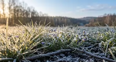 Przymrozki nie odpuszczają. Kolejne ostrzeżenie IMGW dla powiatu pułtuskiego