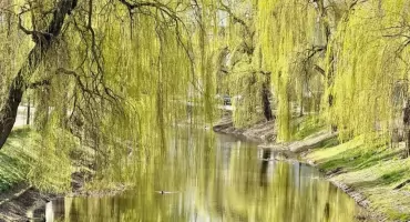 20 stopni ciepła? Kiedy taka temperatura?