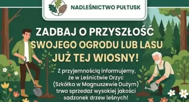 Ruszyła sprzedaż sadzonek! Zaproś las do swojego ogrodu