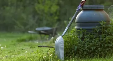 Porządki w ogrodzie – czy warto wynająć do tego kontener?
