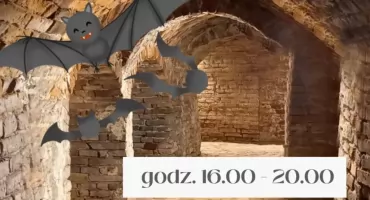 Nocki i Gacki w Pułtusku. Odkryj tajemnice pojezuickich piwnic w majówkę!