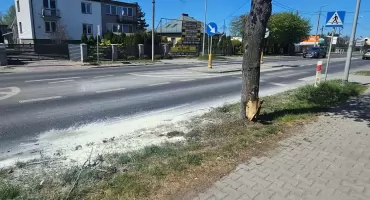 Samochód uderzył w drzewo i stanął w ogniu – pomogli świadkowie