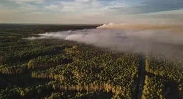 Alert pożarowy w polskich lasach: apel o rozwagę w obliczu wysokiego zagrożenia pożarowego