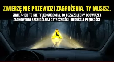  Zwierzę w świetle reflektorów zastyga w bezruchu. Musisz reagować!