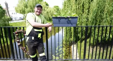  Letnie aranżacje zastępują wiosenne bratki 