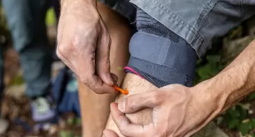 Ola przyniosła to z przedszkola. Kleszcze wróciły, a wraz z nimi stare błędy pacjentów