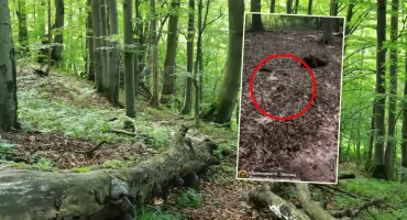 Pokazał, co znalazł w lesie. - Ależ bydle! 