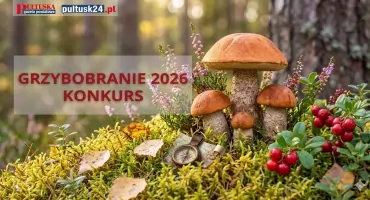 Grzybobranie 2026 – rusza konkurs! Szczegóły w regulaminie