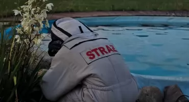 Gorący tydzień pułtuskich strażaków. Walka z ogniem i groźnymi owadami w powiecie