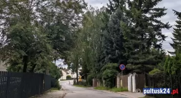 Drzewa, bezpieczeństwo i głos z zewnątrz - apel córki wybitnego fizyka  o bezpieczeństwo na Żwirki Wigury