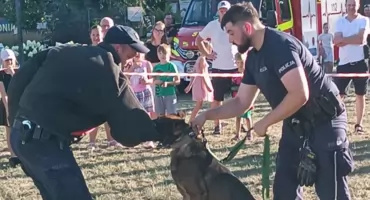 Pułtuscy policjanci na Pikniku Militarnym. Uwagę przyciągał pokaz psów