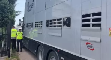  Bezpieczeństwo i dobrostan w trasie. Wspólne kontrole pułtuskiej policji oraz Inspekcji Weterynaryjnej