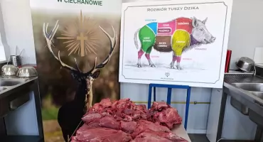 Dziczyzna bez marnowania. Jak myśliwi wykorzystują upolowane zwierzę?