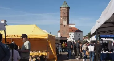 VI Jarmark Staropolski „Kupieckim Szlakiem” trwa na pułtuskim rynku. Mnóstwo atrakcji, rzemiosła, tradycyjnych smaków i... przesympatyczne alpaki