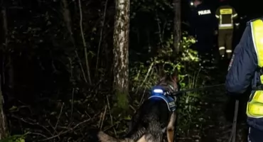 Nocne poszukiwania w gminie Zatory. Pies tropiący odnalazł zaginionego 34-latka