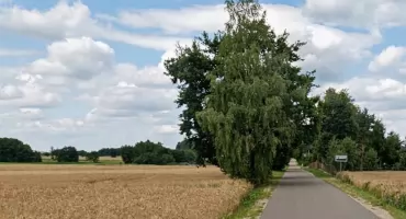 Utrudnienia dla kierowców w gminie Obryte. Zamknięcie drogi w Ciółkowie Rządowym