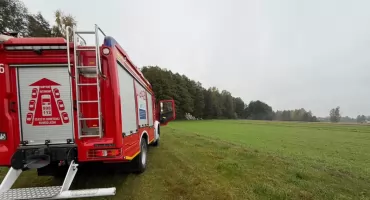 Pożar pozostałości roślinnych w Pniewie Kolonii. Interweniowali strażacy