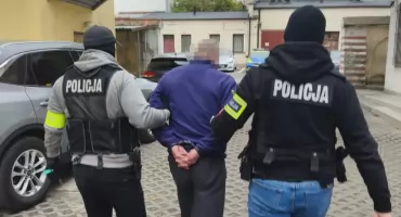 Marihuana na polu kukurydzy